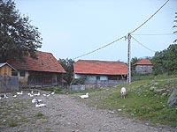 Budesti - Gospodarii taranesti - Virtual Arad County (c)2002