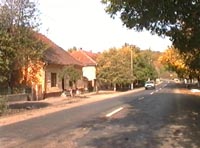 Buhani - Strada principala - Virtual Arad County (c)2002