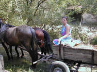 Camna - Caruta - mijloc traditional de transport