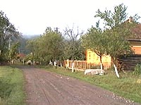 Dumbrava - Ulita mare - Virtual Arad County (c)2002