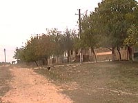 Nadalbesti - Ulita din deal - Virtual Arad County (c)2002