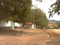 Nadalbesti - Ulita mare - Virtual Arad County (c)2002