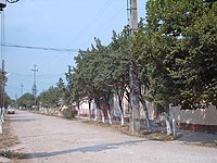 Satu Nou - Ulita mare - Virtual Arad County (c)2002