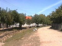 Secaci - Valea mare - Virtual Arad County (c)2000