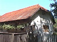 Temesesti - Casa taraneasca - Virtual Arad County (c)2000