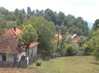 Tohesti - Vedere generala - Virtual Arad County (c)2002