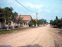 Zerindu Mic - Ulita mare - Virtual Arad County (c)2002