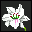 flower003.gif (1130 bytes)
