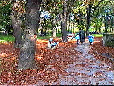 A venit toamna in parcurile aradene - (c) Virtual Arad News, 1998