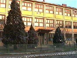 Liceul din Sebis - Virtual Arad News (c) 1999