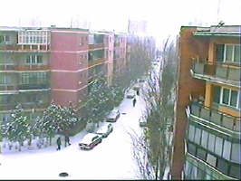Iarna revine la Arad - Virutal Arad News (c) 1999