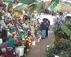De Ziua Femeii, florile au avut cautare in piete - Virtual Arad News (c)2000