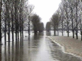 Drumul national Arad - Oradea este acoperit de ape