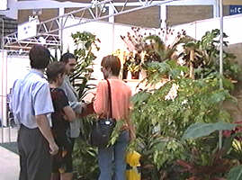 La Targul Agromalim aradenii arata interes si pentru flori - Virtual Arad News (c)2000
