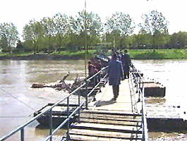 Bustenii adusi de ape pun in pericol podul de pontoane