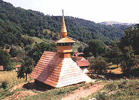 Etnografii din tara au vizitat Troasul - Virtual Arad News (c)2001