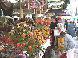 Florile tind sa devina lux pentru aradeni - Virtual Arad News (c)2001