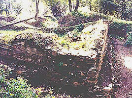 Lucrarile pe santierul arheologic Cladova continua - Virtual Arad News (c)2001
