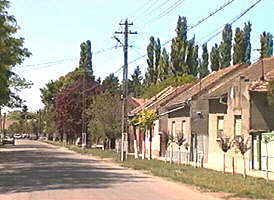 Satul Dorobanti poate deveni in curand comuna - Virtual Arad News (c)2001