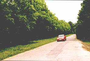 Drumurile prin Padurea Ceala vor fi reabilitate - Virtual Arad News(c)2002