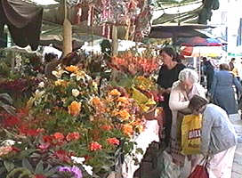 Si vanzatorii de flori vor fi impozitati - Virtual Arad News (c)2002