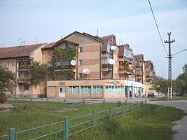Comuna Pecica s-a transformat in oras - Virtual Arad News (c)2004