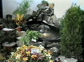 Frumusetea florilor atrage numerosi vizitatori - Virtual Arad News (c)2004