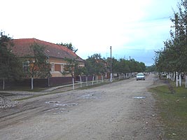 Locuitorii din Chelmac sunt originari din judetul Gorj - Virtual Arad News (c)2004
