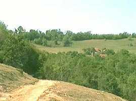 Zona Vasoaia - spatiu de legenda a muntilor Zarandului - Virtual Arad News (c)2004