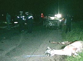 Grav accident produs noaptea pe soseaua Arad-Horea