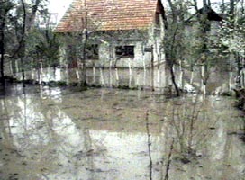 In Aradul Nou au fost inundate mai multe gradini din cauze meteorologice
