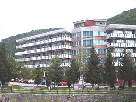 La Hotelul "Codru Moma" din Moneasa roadele se vor face vazute in scurt timp - Virtual Arad News (c)2005