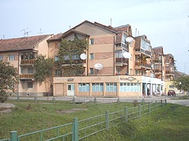 Orasul Pecica se pregateste sa devina municipiu - Virtual Arad News (c)2006