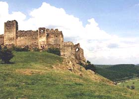 Cetatea Soimos reprezinta un bun pretext pentru o excursie - Virtual Arad News (c)2007