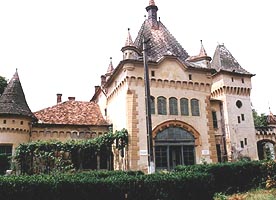 Fostul Castel de la Sofronea incepe sa isi recapete stralucirea de odinioara - Virtual Arad News (c)2007