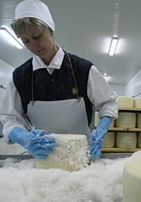 La Tarnova investitorii italieni vor construi  o moderna fabrica de prelucrarea laptelui