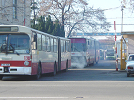 Transport cu autobuze la Carrefour