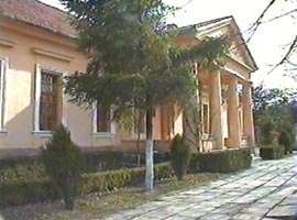 Cladirea familiei nobiliare Bohus din Siria adaposteste si Muzeul memorial "Ioan Slavici"