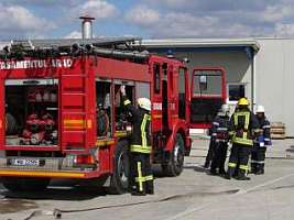 Pompierii aradeni si-au prezentat bilantul pe anul 2008