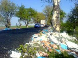 Un accident mai putin obisnuit a avut loc pe drumul Arad-Nadlac